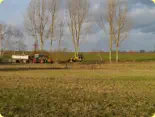 Die Bäume am Feldweg zu Scheibenberg werden ausgeästet, damit die großen Landmaschinen unbeschadet vorbei kommen. Foto: 12.02.2019