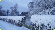 Winterbilder vom 19. Januar 2016