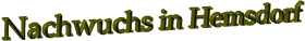 Nachwuchs in Hemsdorf